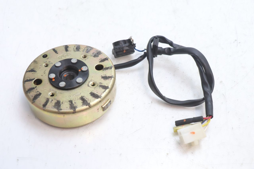 photo de ROTOR STATOREN TNT MOTOR ROMA 10' 4T 50 (2007 - 2018) - Zoom op gebruiksstaat