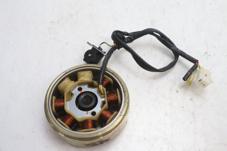 photo de ROTOR STATOREN TNT MOTOR ROMA 10' 4T 50 (2007 - 2018) - Andere kijkhoek