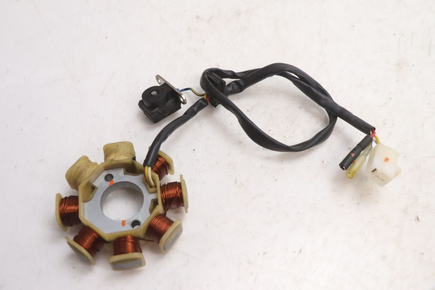 photo de ROTOR STATOREN TNT MOTOR ROMA 10' 4T 50 (2007 - 2018) - Technische close-up