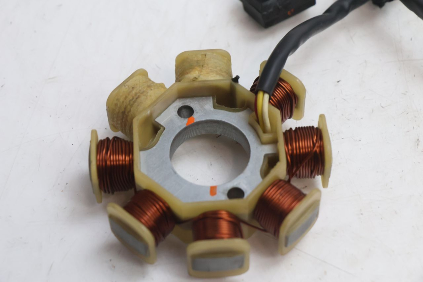 photo de ROTOR STATOREN TNT MOTOR ROMA 10' 4T 50 (2007 - 2018) - Overzicht