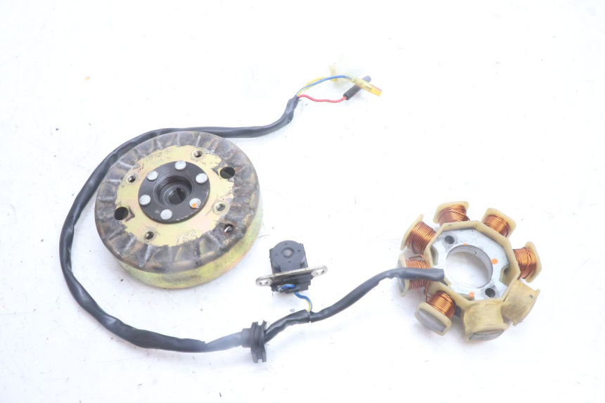 photo de ROTOR STATOREN TNT MOTOR ROMA 10' 4T 50 (2007 - 2018) - Hoofdaanzicht