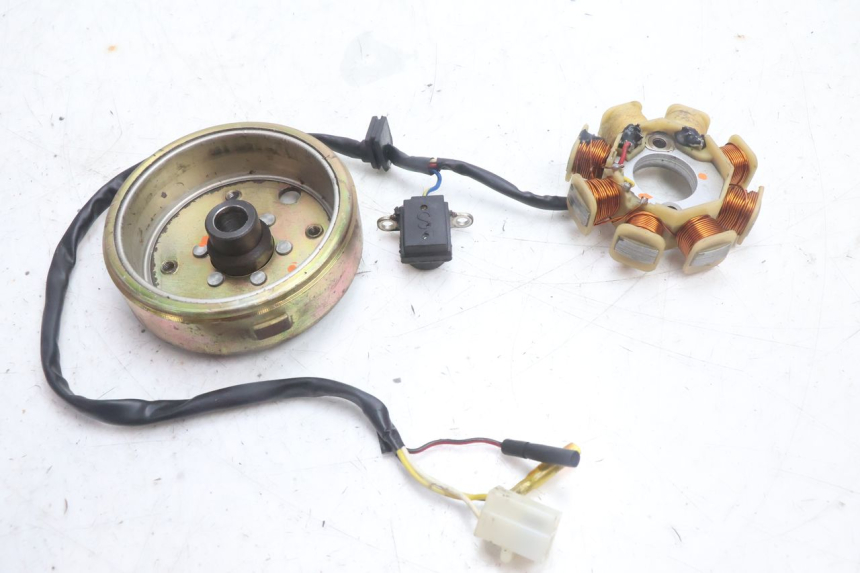 photo de ROTOR STATOREN TNT MOTOR ROMA 10' 4T 50 (2007 - 2018) - Detail van het onderdeel