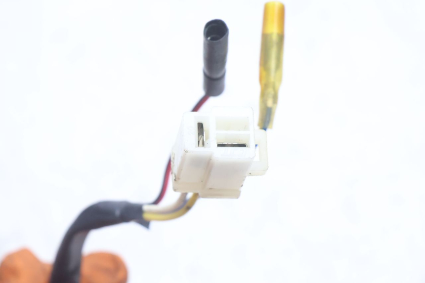 photo de ROTOR STATOREN TNT MOTOR ROMA 10' 4T 50 (2007 - 2018) - Productaanzicht