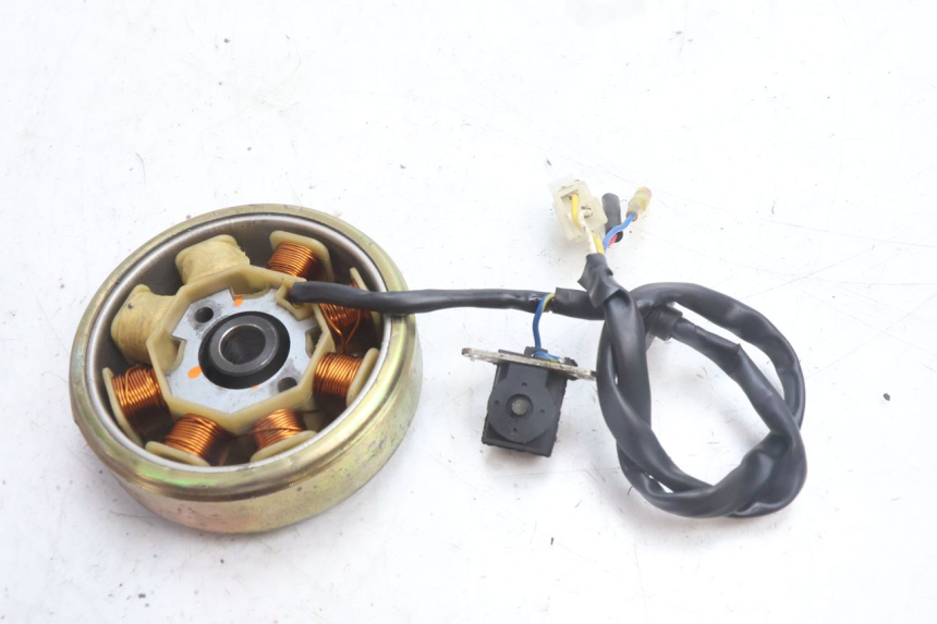 photo de ROTOR STATOREN TNT MOTOR ROMA 10' 4T 50 (2007 - 2018) - Andere kijkhoek