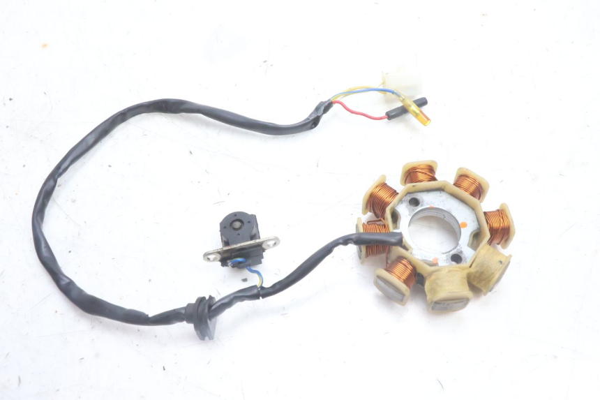 photo de ROTOR STATOREN TNT MOTOR ROMA 10' 4T 50 (2007 - 2018) - Bevestigingspunten