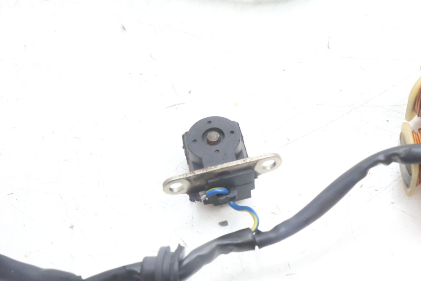 photo de ROTOR STATOREN TNT MOTOR ROMA 10' 4T 50 (2007 - 2018) - Gecontroleerd onderdeel