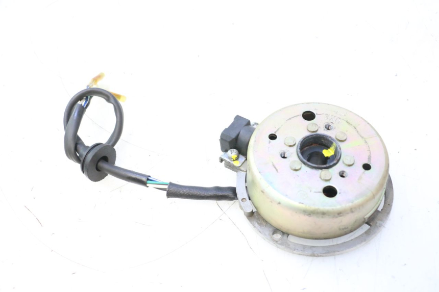 photo de ROTOR STATOR TNT MOTOR ROMA 12' 2T 50 (2007 - 2018) - Detail van het onderdeel