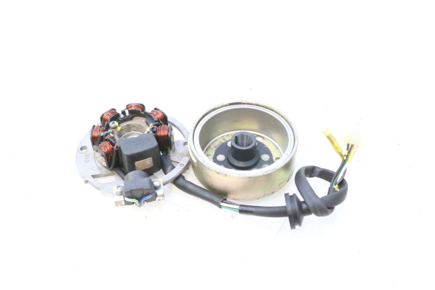 photo de ROTOR STATOR TNT MOTOR ROMA 12' 2T 50 (2007 - 2018) - Overzicht