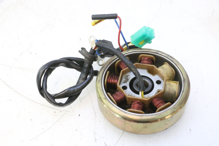 photo de ROTOR STATOR JM MOTORS SANTANA 50 (2014 - 2023) - Zoom op gebruiksstaat