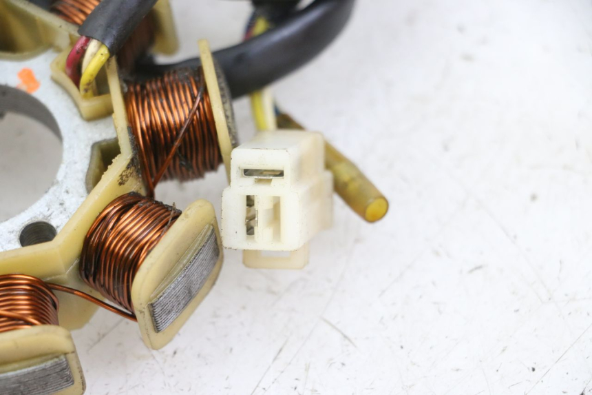 photo de ROTOR STATOREN JM MOTORS SUNNY 50 (2017 - 2020) - Andere kijkhoek