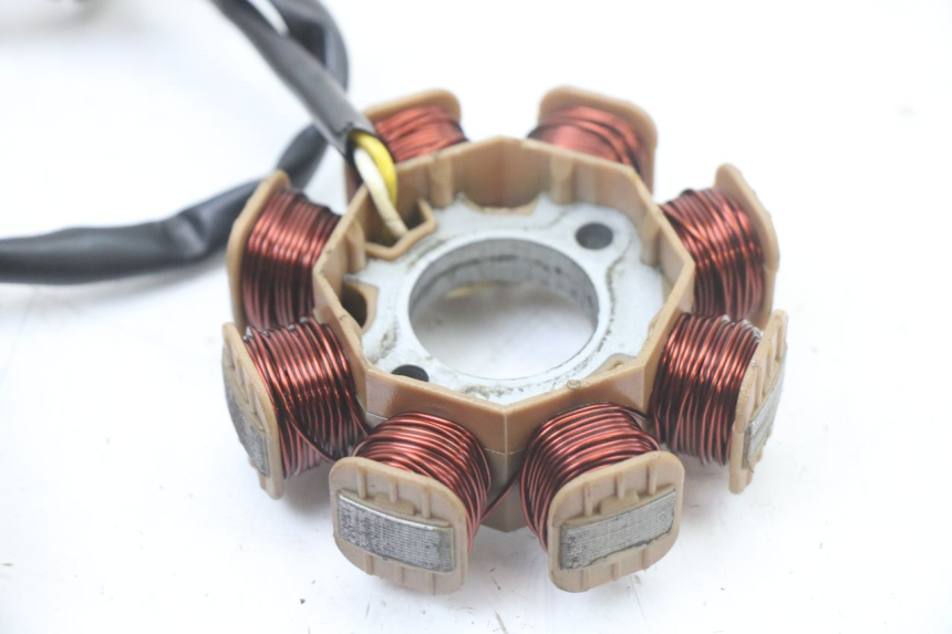 photo de ROTOR STATOREN TNT MOTOR ROMA 10' 4T 50 (2019 - 2022) - Overzicht