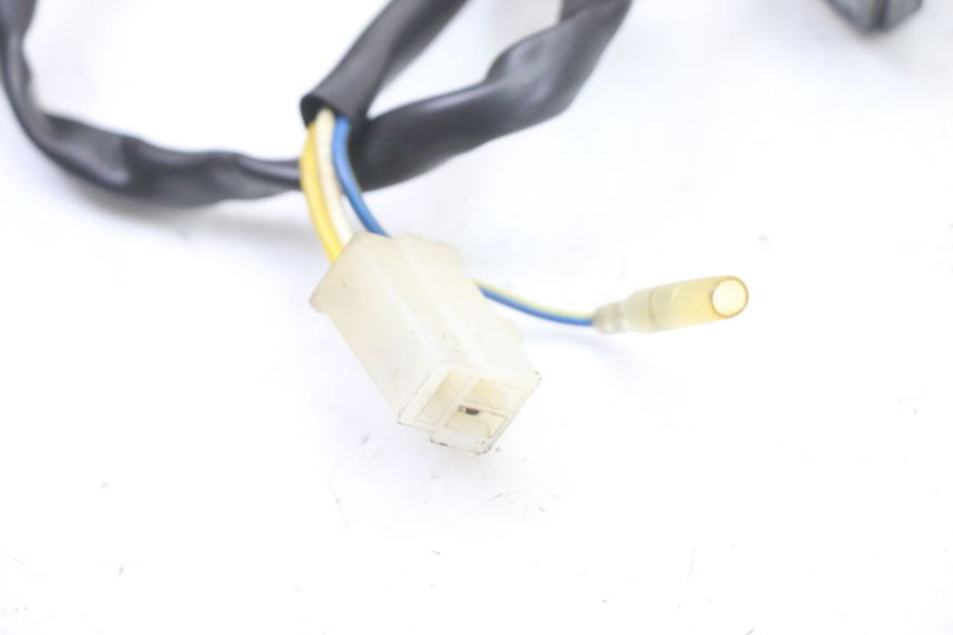 photo de ROTOR STATOREN TNT MOTOR ROMA 10' 4T 50 (2019 - 2022) - Gecontroleerd onderdeel