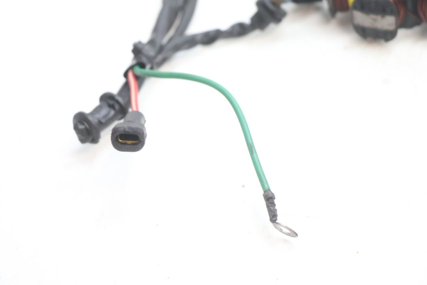 photo de ROTOR STATOREN PEUGEOT TREKKER 50 (1995 - 2004) - Staat van het oppervlak