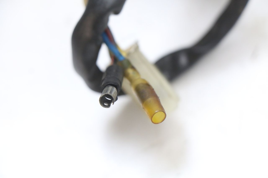 photo de ROTOR STATOREN PEUGEOT V-CLIC VCLIC 50 (2007 - 2013) - Productaanzicht