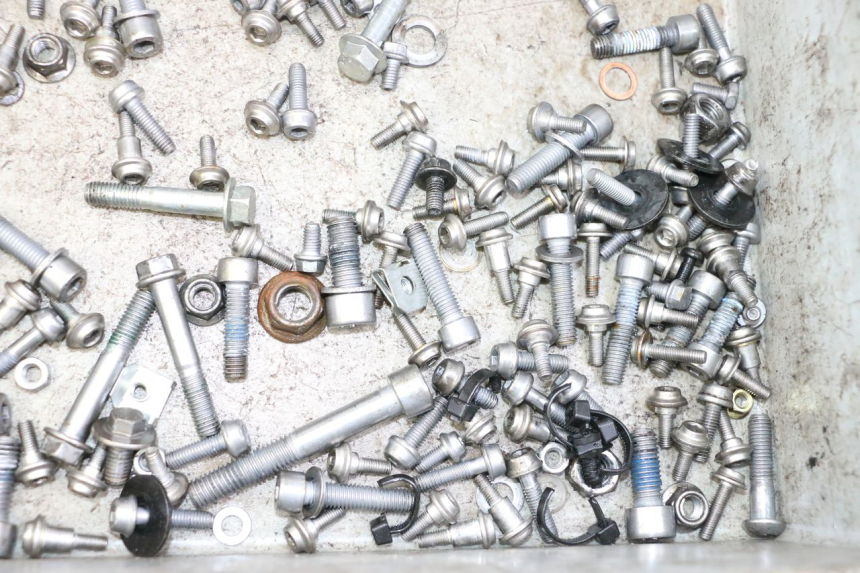 photo de ZAK SCHROEVEN EN BEVESTIGINGSMATERIAAL BMW G310 R 310 (2016 - 2020) - Zoom op gebruiksstaat