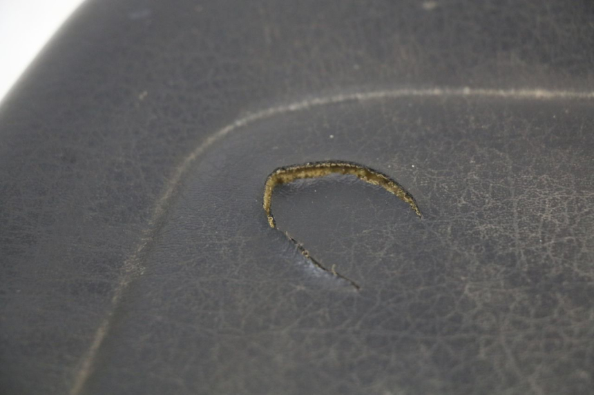 photo de ACHTERZITJE YAMAHA YP MAJESTY 125 (2002 - 2006) - Bevestigingspunten