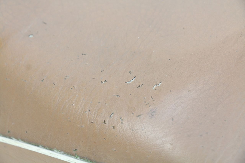 photo de ZITSEL RIDE CLASSIC 2T 50 (2014 - 2022) - Kenmerkende details