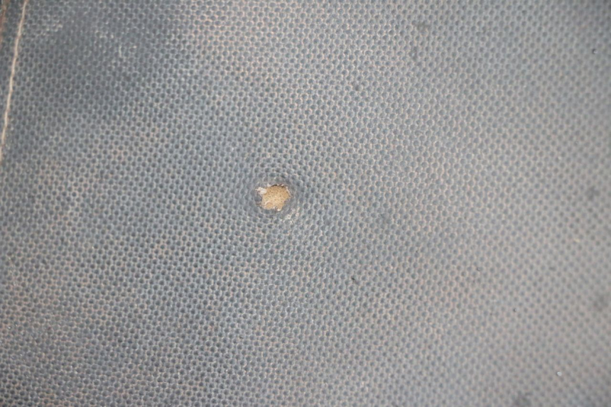 photo de ZITSEL LONGJIA DIGITA 4T 50 (2019 - 2022) - Detailaanzicht