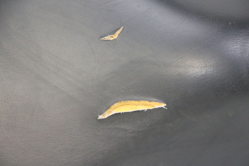 photo de ZITSEL PEUGEOT ELYSTAR 50 (2002 - 2014) - Visuele inspectie