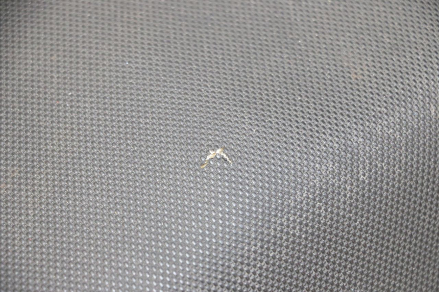 photo de ZITSEL KEEWAY F-ACT FACT 50 (2006 - 2011) - Kenmerkende details