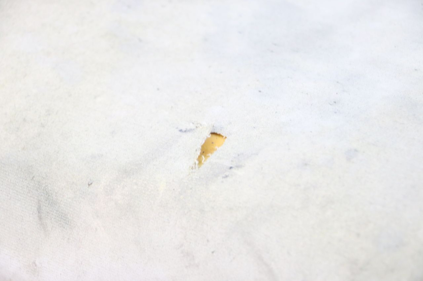 photo de ZITSEL GOES WIKI 125 (2010 - 2015) - Visuele inspectie