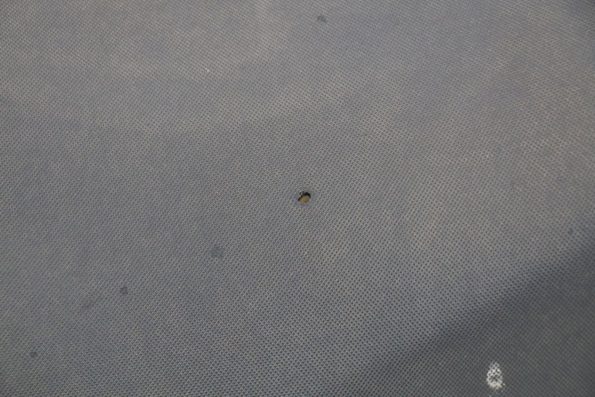 photo de ZITSEL JONWAY GTX 2T 50 (2014 - 2020) - Detailaanzicht