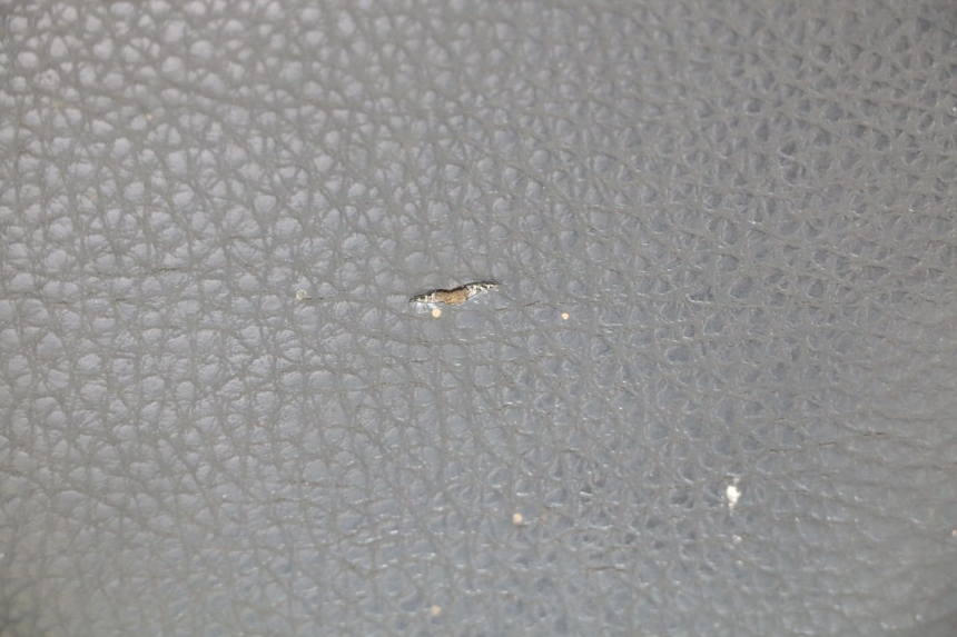 photo de ZITSEL PEUGEOT KISBEE 2T 50 (2010 - 2017) - Overzicht