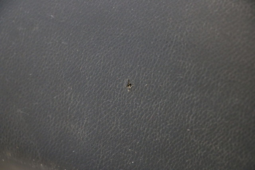 photo de ZITSEL PEUGEOT LUDIX ONE 50 (2004 - 2013) - Andere kijkhoek