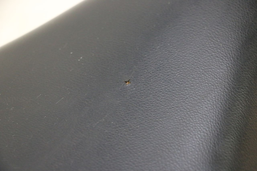 photo de ZIT PEUGEOT LUDIX SNAKE 2T 50 (2004 - 2014) - Technische close-up