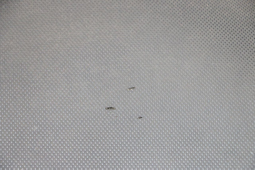 photo de ZITSEL MBK MACH G AC 50 (2002 - 2014) - Zoom op componenten