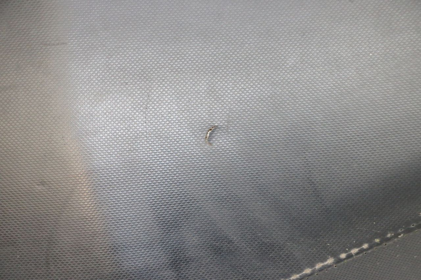 photo de ZITSEL PIAGGIO NEW TYPHOON 50 (2018 - 2021) - Overzicht