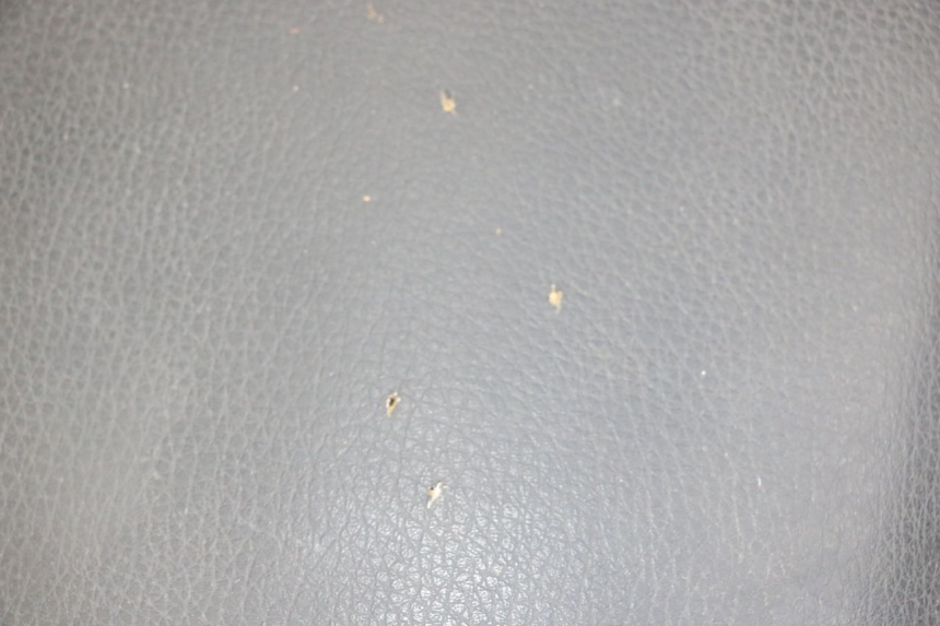 photo de ZITSEL SYM ORBIT 2 4T 50 (2008 - 2017) - Andere kijkhoek