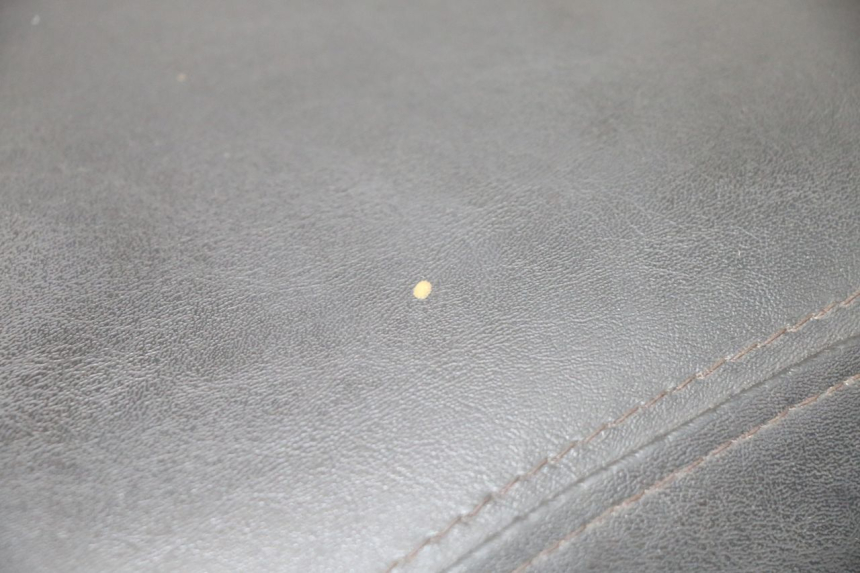 photo de ZITSEL SYM ORBIT III 3 4T 50 (2021 - 2025) - Andere kijkhoek