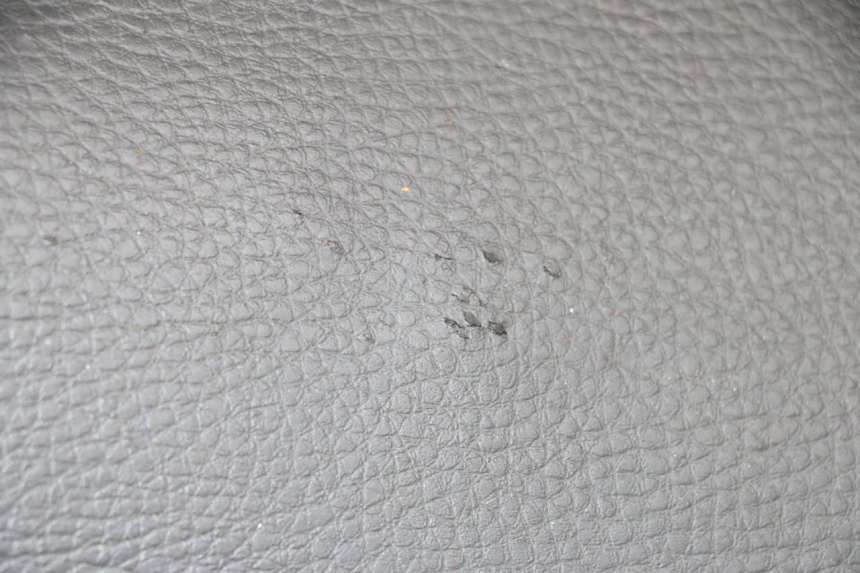 photo de ZITSEL PEUGEOT KISBEE 4T 50 (2010 - 2017) - Zoom op kwaliteit