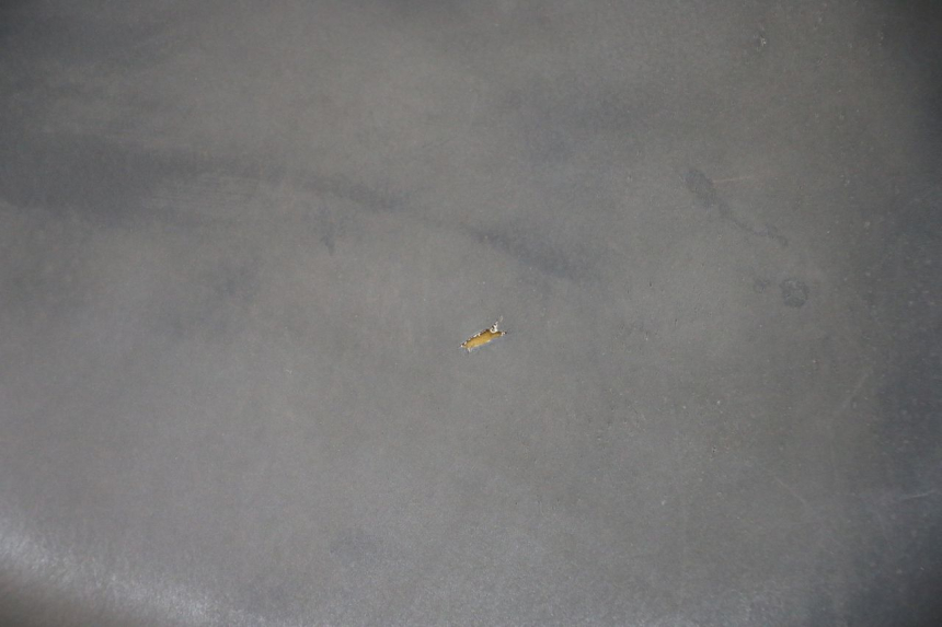 photo de ZITSEL PEUGEOT LUDIX 50 (2008 - 2017) - Bevestigingspunten