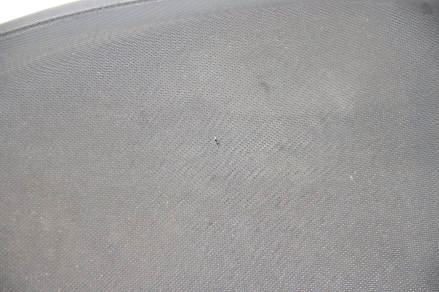 photo de ZITSEL TNT MOTOR ROMA 10' 4T 50 (2007 - 2018) - Productaanzicht