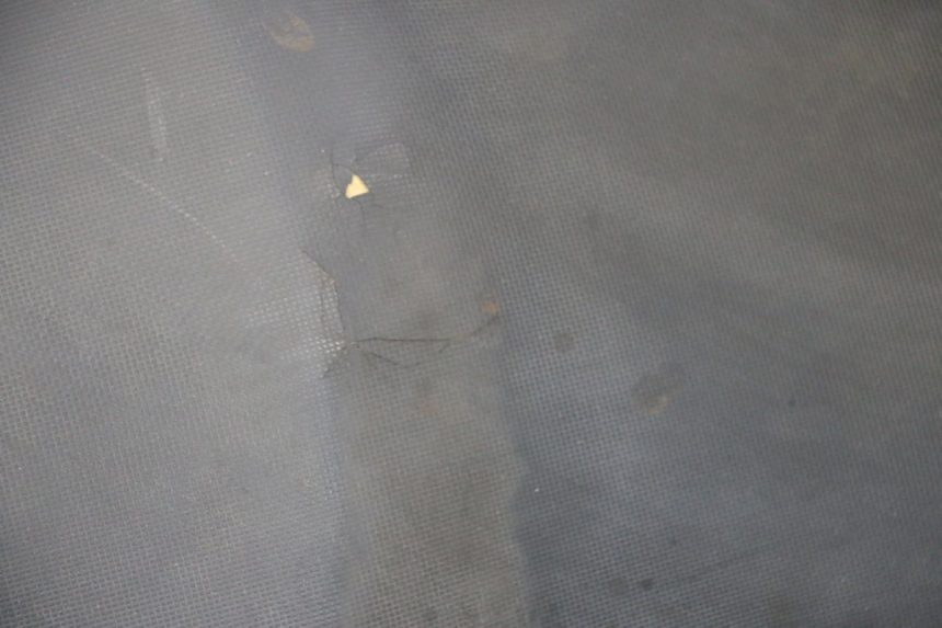 photo de ZITSEL DAELIM S1 125 (2007 - 2016) - Andere kijkhoek