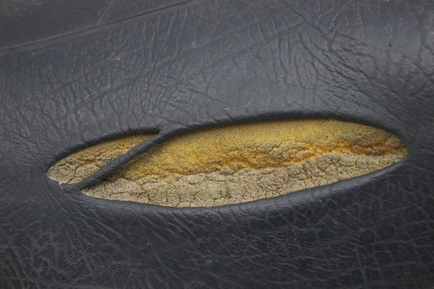 photo de ZITSEL APRILIA SCARABEO 100 (2003 - 2012) - Productaanzicht