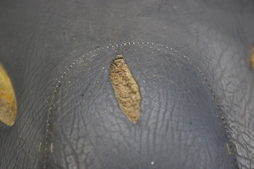 photo de ZITSEL APRILIA SCARABEO 100 (2003 - 2012) - Kenmerkende details