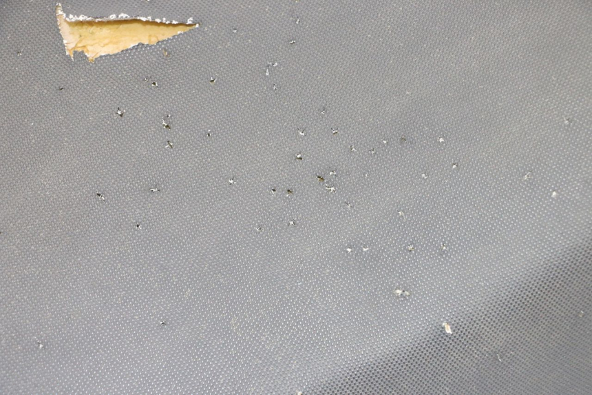 photo de ZITSEL TNT MOTOR BOSTON 4T 50 (2018 - 2025) - Zoom op gebruiksstaat