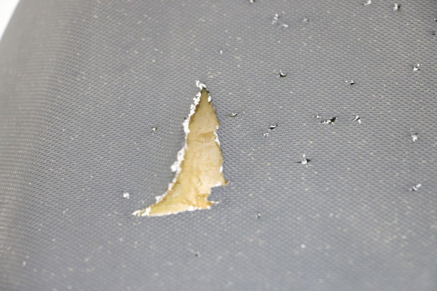 photo de ZITSEL TNT MOTOR BOSTON 4T 50 (2018 - 2025) - Andere kijkhoek