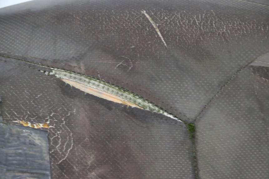 photo de ZITSEL YAMAHA X-MAX XMAX 250 (2006 - 2009) - Overzicht