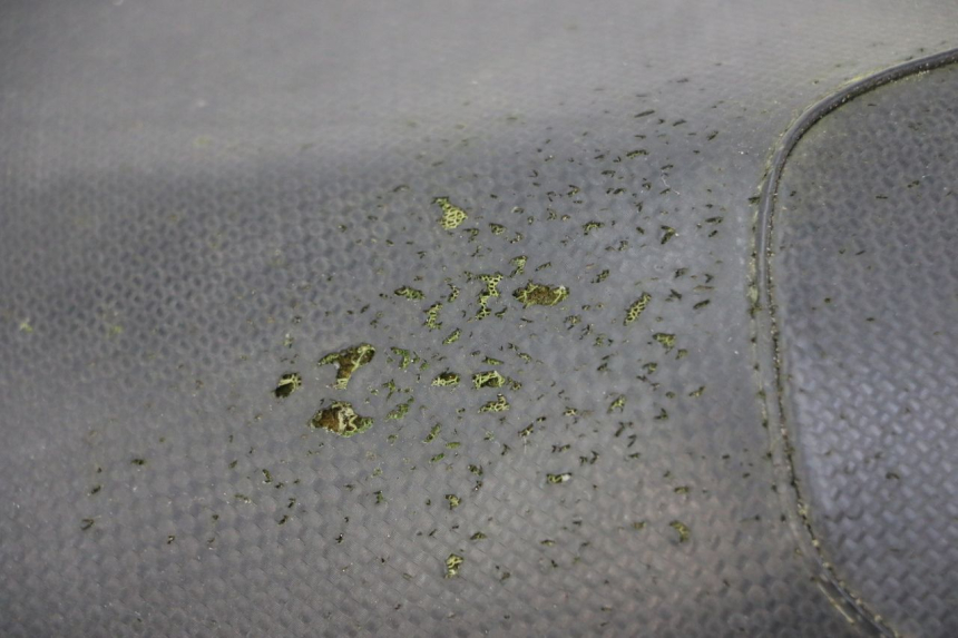 photo de ZITSEL YAMAHA AEROX 50 (1997 - 2006) - Bevestigingspunten