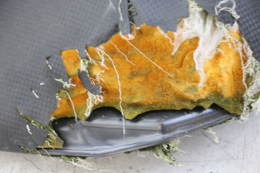 photo de ZITSEL YAMAHA AEROX 50 (1997 - 2006) - Markeringen en referenties