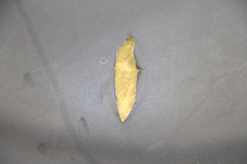 photo de ZITSEL YAMAHA NEOS NEO'S 4T 50 (2008 - 2016) - Kenmerkende details