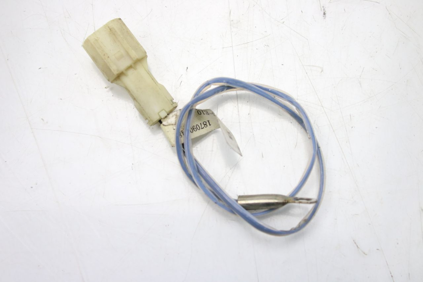 photo de SENSOR LONGJIA DIGITA 4T 50 (2019 - 2022) - Hoofdaanzicht