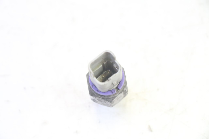 photo de OLIEDRUKSENSOR REMMEN PIAGGIO MP3 RL 250 (2006 - 2010) - Technische close-up