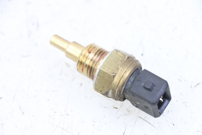 photo de WATERTEMPERATUURSENSOR VENT DERAPAGE 50 (2018 - 2023) - Zoom op gebruiksstaat