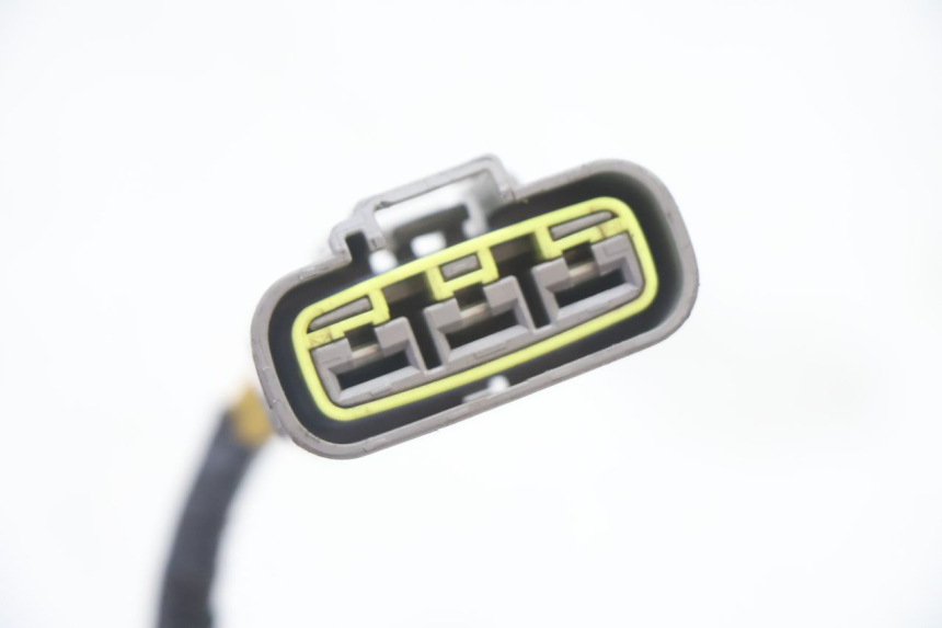 photo de STATOR BMW C SPORT 650 (2015 - 2021) - Overzicht