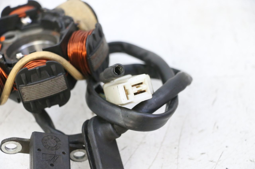 photo de STATOR PEUGEOT CITYSTAR 50 (2013 - 2017) - Overzicht